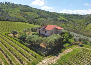 Foto 6 - Rustic Contrada Piane Tronto
 
snc, Controguerra - photo 6