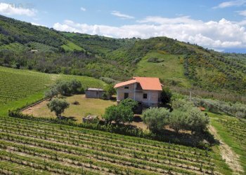 Foto 7 - Rustic Contrada Piane Tronto
 
snc, Controguerra - photo 7