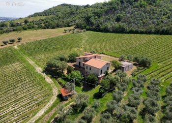 Foto 9 - Rustic Contrada Piane Tronto
 
snc, Controguerra - photo 9