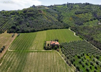 Foto 11 - Rustic Contrada Piane Tronto
 
snc, Controguerra - photo 11