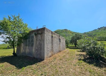 Foto 15 - Rustic Contrada Piane Tronto
 
snc, Controguerra - photo 15