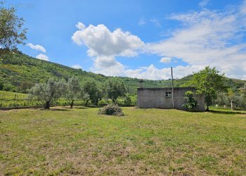 Foto 21 - Rustic Contrada Piane Tronto
 
snc, Controguerra - photo 21