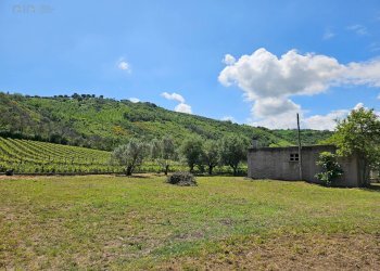 Foto 23 - Rustic Contrada Piane Tronto
 
snc, Controguerra - photo 23