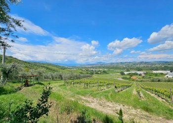 Foto 26 - Rustic Contrada Piane Tronto
 
snc, Controguerra - photo 26