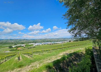 Foto 27 - Rustic Contrada Piane Tronto
 
snc, Controguerra - photo 27