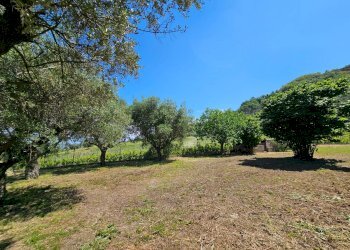 Foto 29 - Rustic Contrada Piane Tronto
 
snc, Controguerra - photo 29