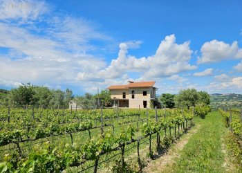 Foto 34 - Rustic Contrada Piane Tronto
 
snc, Controguerra - photo 34