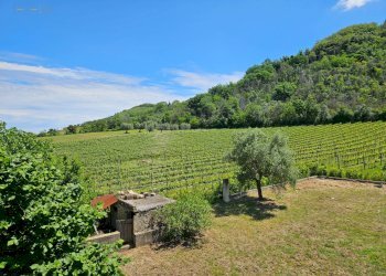 Foto 53 - Rustic Contrada Piane Tronto
 
snc, Controguerra - photo 53