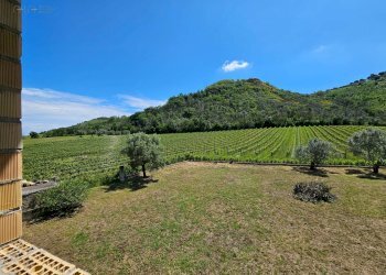 Foto 56 - Rustic Contrada Piane Tronto
 
snc, Controguerra - photo 56