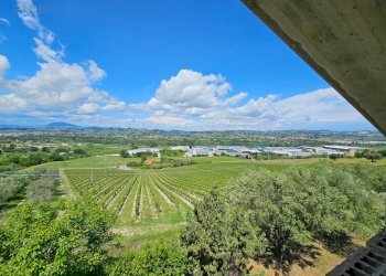 Foto 63 - Rustic Contrada Piane Tronto
 
snc, Controguerra - photo 63