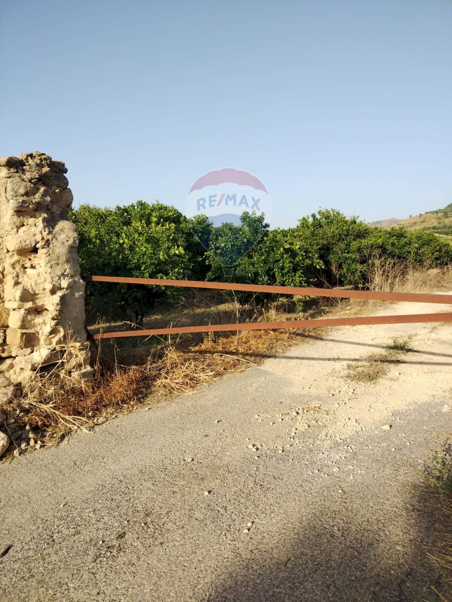 Giardino - Terreno agricolo bivio camemi, Mineo - foto 3