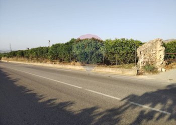 Non correlato - Terreno agricolo bivio camemi, Mineo - foto 2