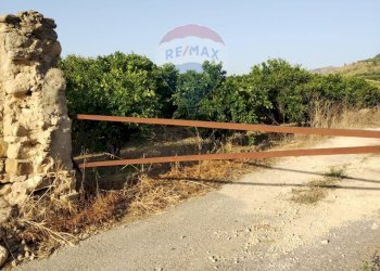 Giardino - Terreno agricolo bivio camemi, Mineo - foto 3