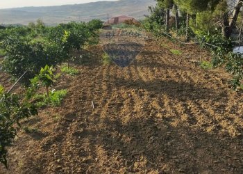 Vista delle montagne - Terreno agricolo bivio camemi, Mineo - foto 4