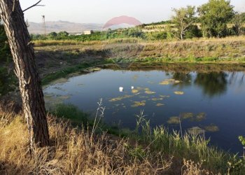 Vista dell\'acqua - Terreno agricolo bivio camemi, Mineo - foto 6