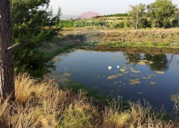 Vista dell\'acqua - Terreno agricolo bivio camemi, Mineo - foto 7