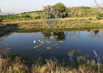 Vista dell\'acqua - Terreno agricolo bivio camemi, Mineo - foto 8