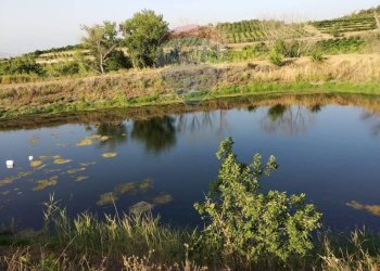Vista dell\'acqua - Terreno agricolo bivio camemi, Mineo - foto 10