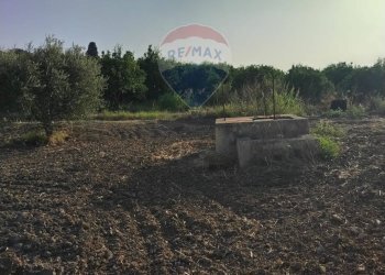 Giardino - Terreno agricolo bivio camemi, Mineo - foto 12