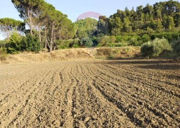 Vista delle montagne - Terreno agricolo bivio camemi, Mineo - foto 16