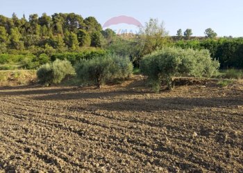 Vista delle montagne - Terreno agricolo bivio camemi, Mineo - foto 17