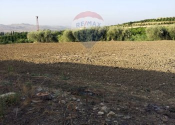 Giardino - Terreno agricolo bivio camemi, Mineo - foto 18