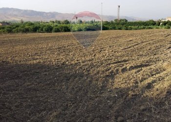 Non correlato - Terreno agricolo bivio camemi, Mineo - foto 19