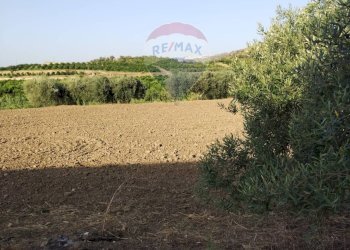 Giardino - Terreno agricolo bivio camemi, Mineo - foto 20