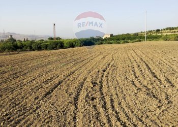 Giardino - Terreno agricolo bivio camemi, Mineo - foto 22