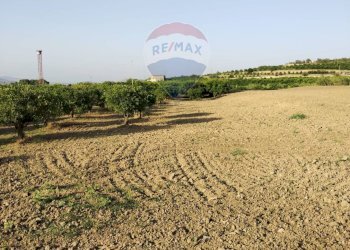 Giardino - Terreno agricolo bivio camemi, Mineo - foto 23