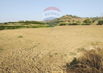 Giardino - Terreno agricolo bivio camemi, Mineo - foto 24