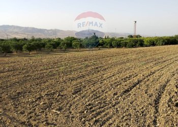 Giardino - Terreno agricolo bivio camemi, Mineo - foto 25