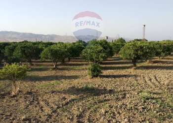 Giardino - Terreno agricolo bivio camemi, Mineo - foto 27