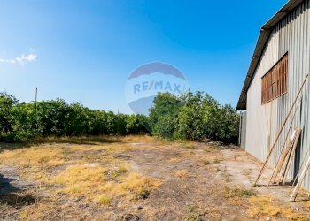 Giardino - Capannone Via Provinciale per Riposto
9/A - Piano T, Acireale - foto 5