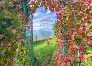 Giardino - Casa semi indipendente Montese - foto 35