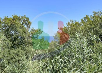 Foto 71 - Independent house Via Nà Valle
 
43, Bergeggi - photo 71