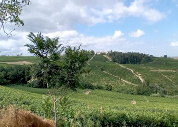 Foto 4 - Casa semi indipendente FRAZIONE CAROSSI GRAFFAGNO
 
60, Castagnole delle Lanze - foto 4