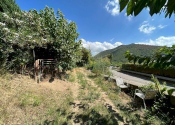 Foto 6 - Terreno agricolo Mercato San Severino - foto 6