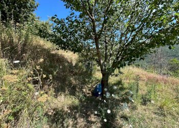 Foto 7 - Terreno agricolo Mercato San Severino - foto 7