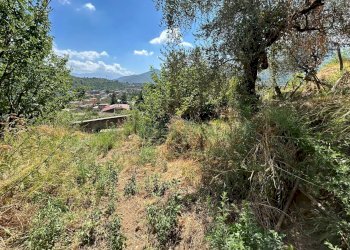 Foto 9 - Terreno agricolo Mercato San Severino - foto 9