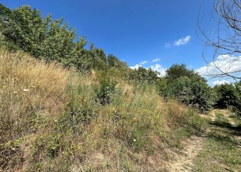 Foto 12 - Terreno agricolo Mercato San Severino - foto 12