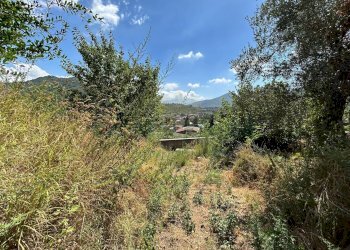 Foto 13 - Terreno agricolo Mercato San Severino - foto 13