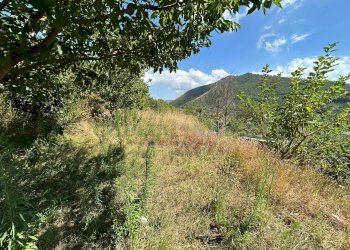 Foto 15 - Terreno agricolo Mercato San Severino - foto 15