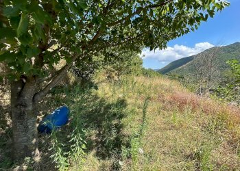 Foto 16 - Terreno agricolo Mercato San Severino - foto 16