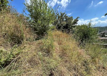 Foto 17 - Terreno agricolo Mercato San Severino - foto 17