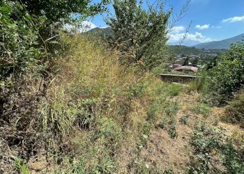 Foto 18 - Terreno agricolo Mercato San Severino - foto 18