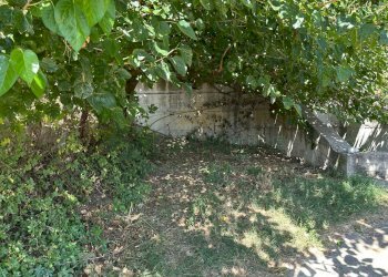 Foto 19 - Terreno agricolo Mercato San Severino - foto 19