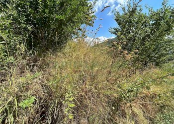 Foto 21 - Terreno agricolo Mercato San Severino - foto 21