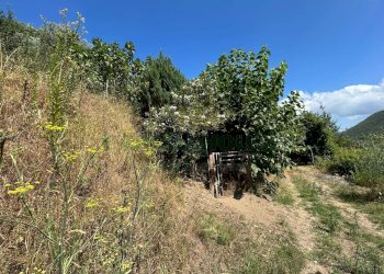 Foto 22 - Terreno agricolo Mercato San Severino - foto 22