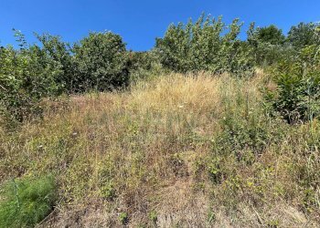 Foto 23 - Terreno agricolo Mercato San Severino - foto 23